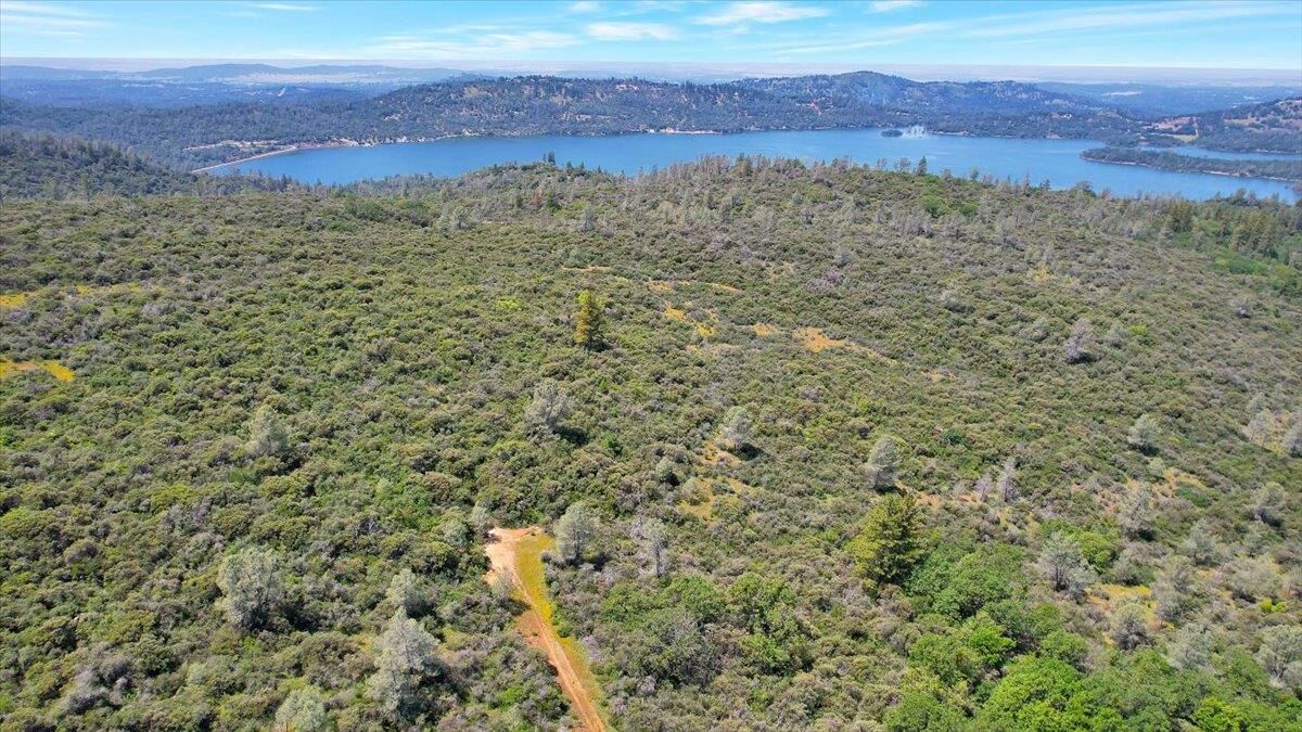 Property Photo:  12934 Wild Acres Way  CA 95962 