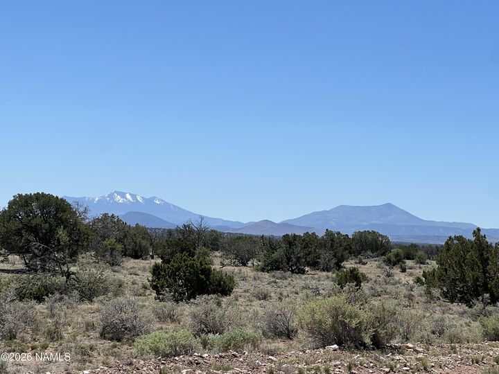 Property Photo:  3927 Mohave Lot C 12 Acres Trail  AZ 86046 