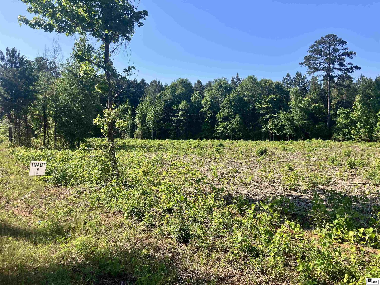 Property Photo: 9014 Lot 4 Highway 80 LA 71275