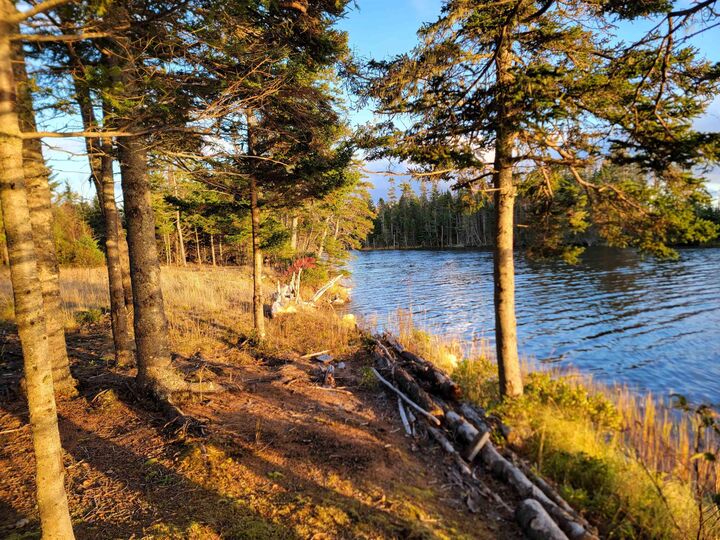 Property Photo:  Red Point Road  NS B2C 1G9 