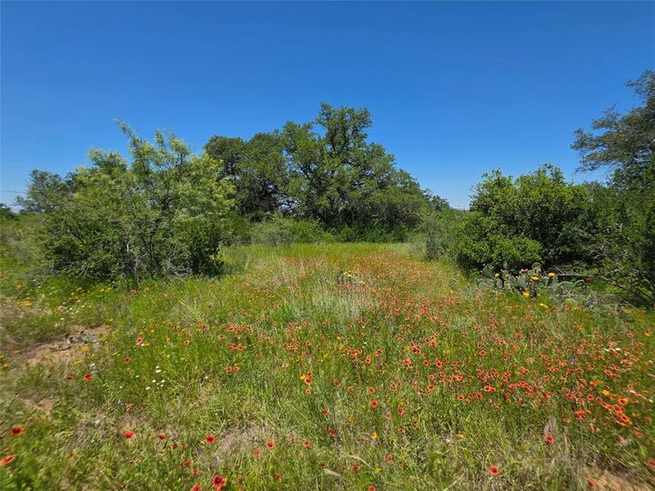 Property Photo:  13915 County Road 237  TX 76801 
