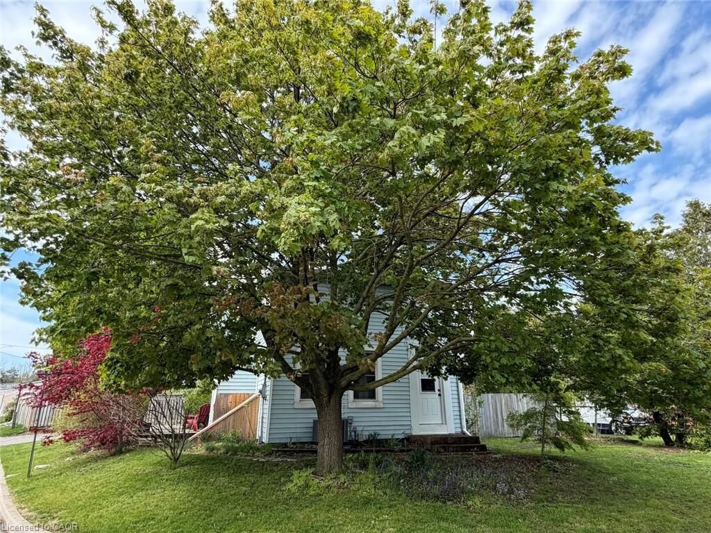 Property Photo:  1 John Avenue  ON N3L 2S8 