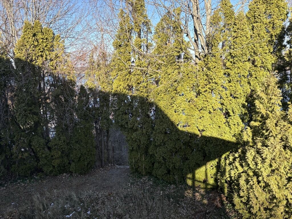 Property Photo:  351 County  RI 02806 