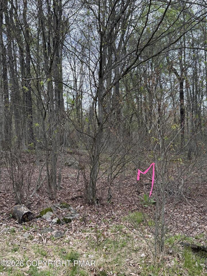 Property Photo:  Winebago Dr2 16  PA 18347 