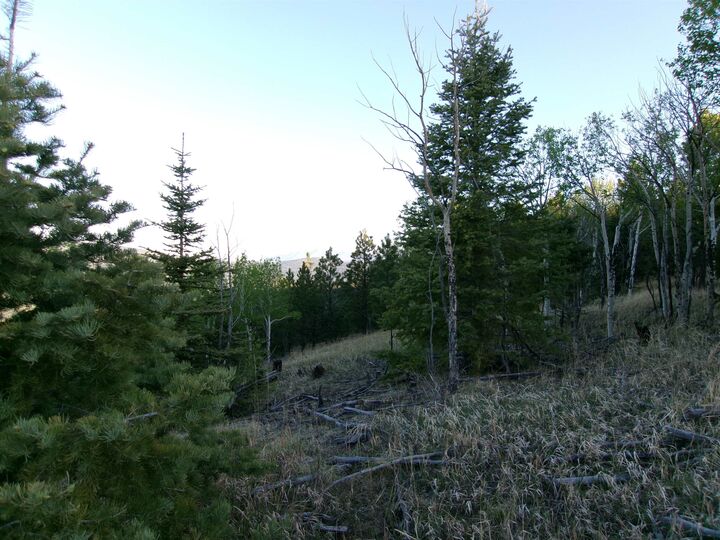 Property Photo:  123 Ravenwood  NM 87710 