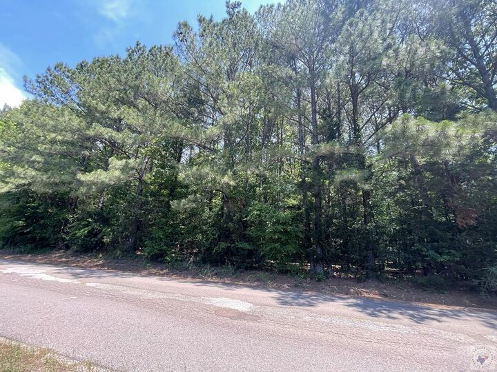 Property Photo:  237 S Cottonshed Lane  AR 71851 