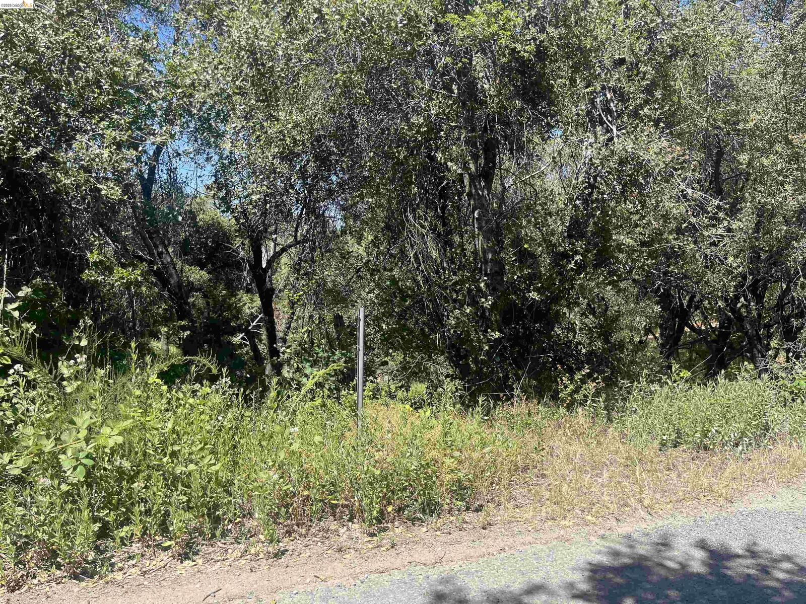 Property Photo:  21186 Ridgeview Dr  CA 95370 