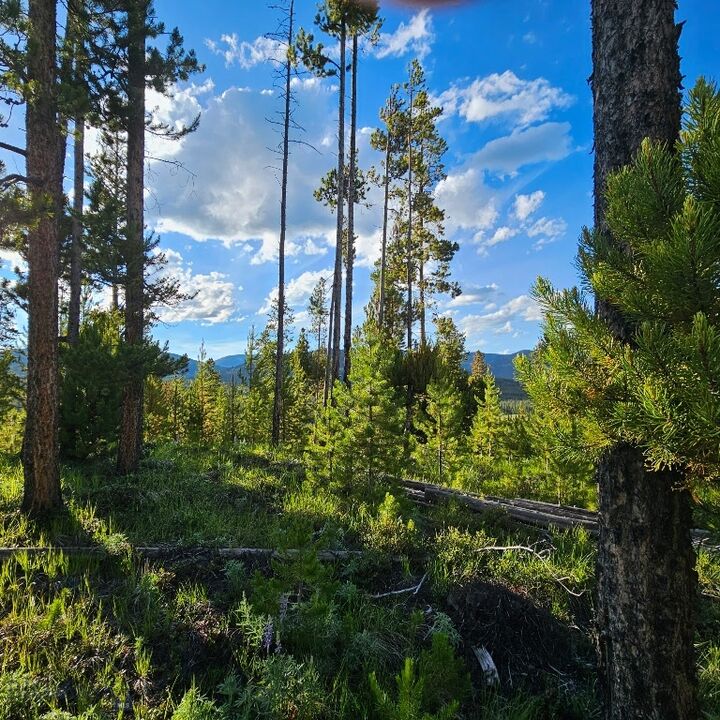Property Photo: Nhn Herring Flats Road MT 59711