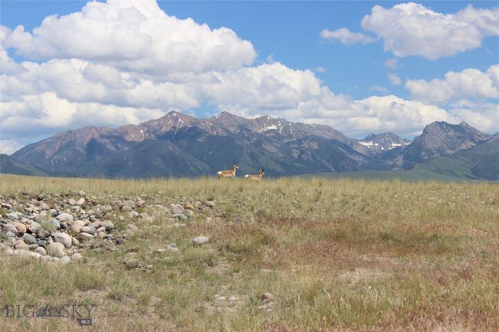 Property Photo: Lot 70 Sphinx Mountain Sub. MT 59720