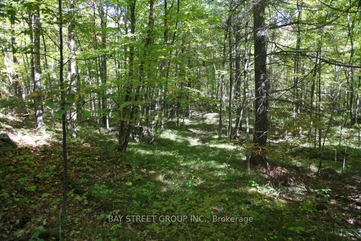 Property Photo:  0 County Road 41 Road S  ON K0H 1Z0 