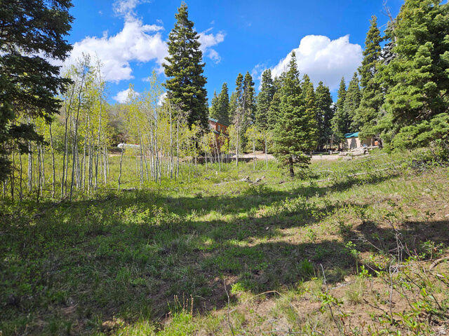 Property Photo:  79 E Thads Peak Dr S J50  UT 84629 