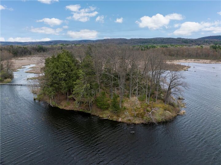 Property Photo:  3015 Huggins Road  NY 14815 