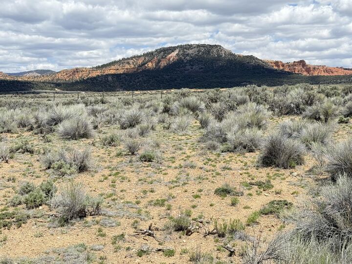 Property Photo:  4369 S Scenic Dr  UT 84759 