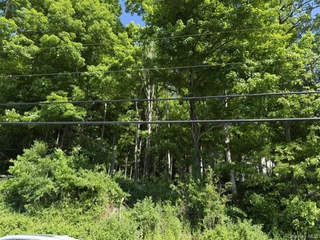 Property Photo: 487 Sprout Brook Road NY 10524