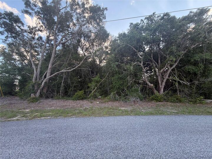 Property Photo:  Lot 4  FL 34473 