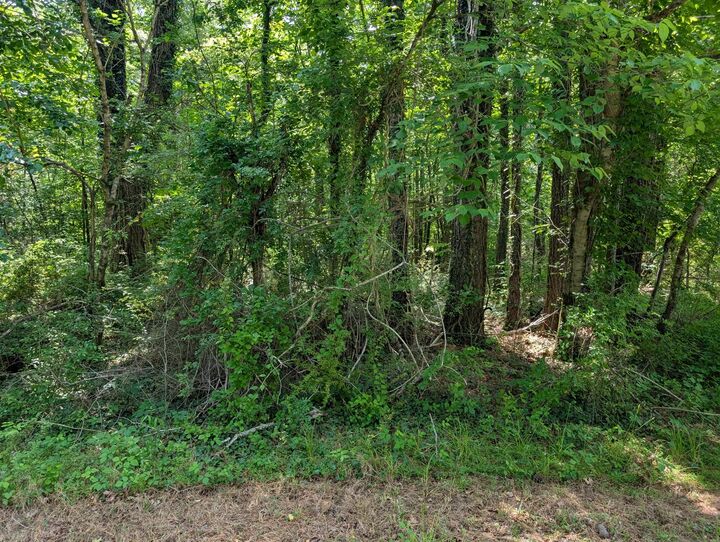 Property Photo:  0 Gum Street  TN 37387 