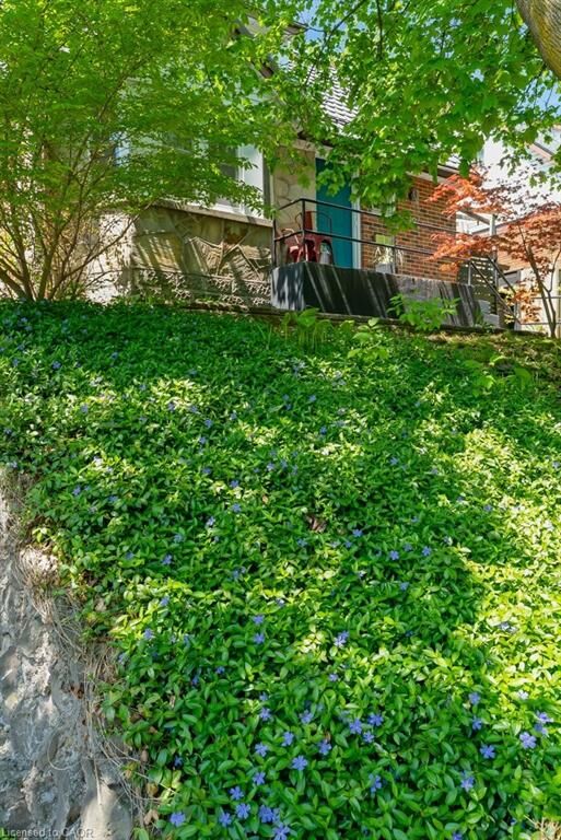 Property Photo: 20 Ramore Street ON N1S 2P8