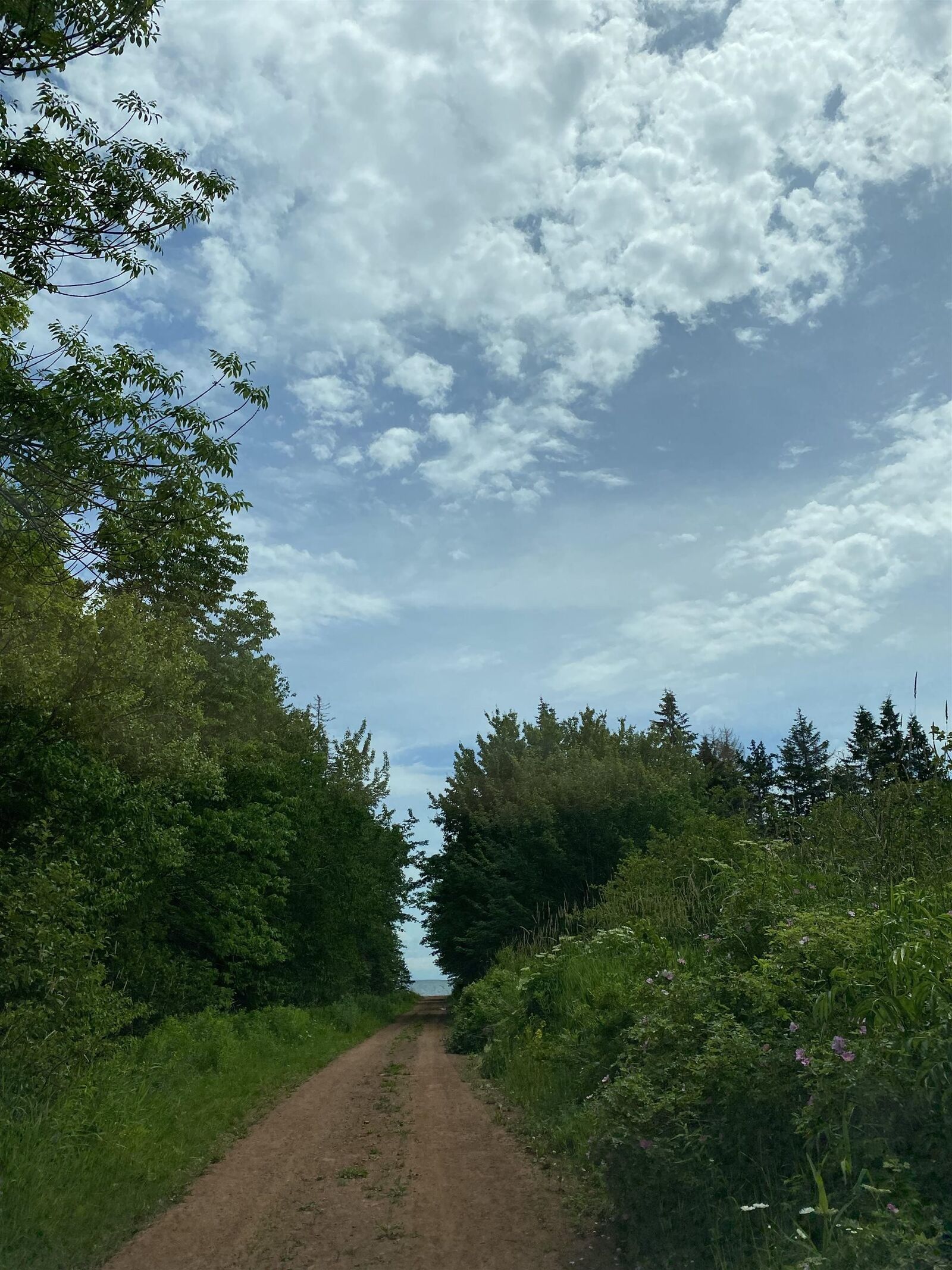 Property Photo:  Maclean Road Lot  PE C0B 1V0 
