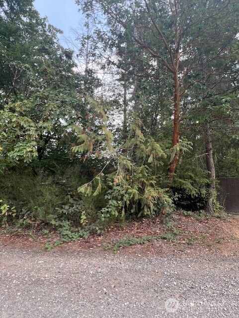 Property Photo:  919  Sanford Avenue  WA 98349 