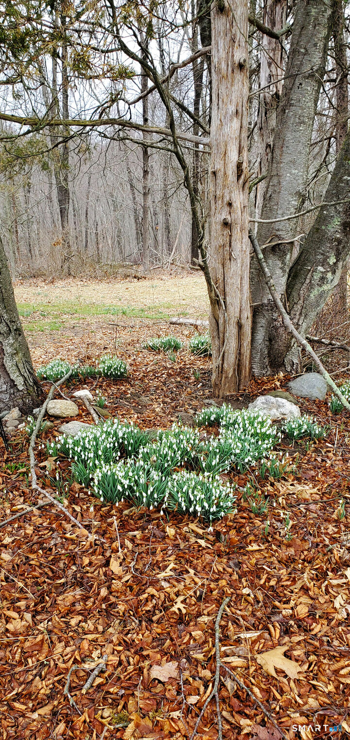 Property Photo:  
