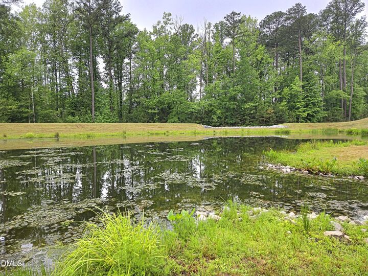 Property Photo: 700 Carraway Garden Drive NC 27587