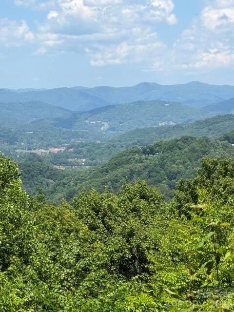 Property Photo:  105 Dotsu Trail C71  NC 28751 