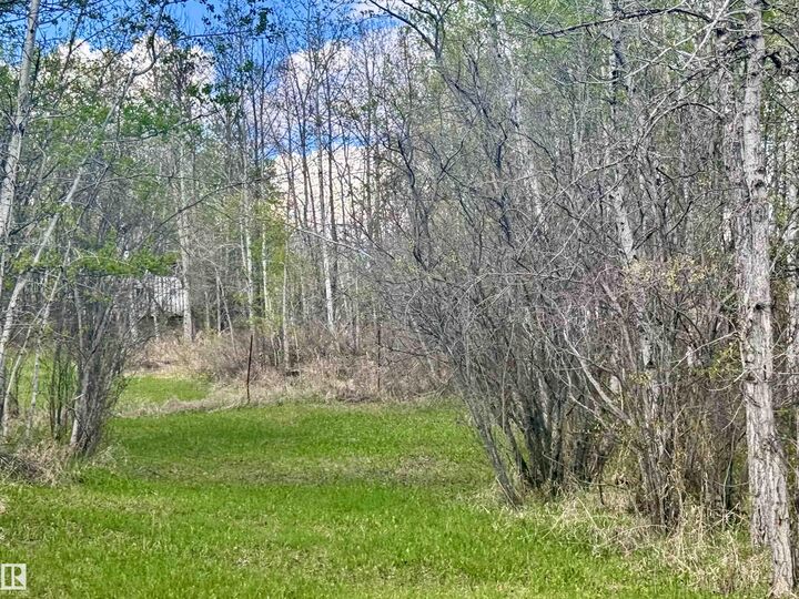 Property Photo:  126 Sandy Beach Avenue  AB T0B 1S0 