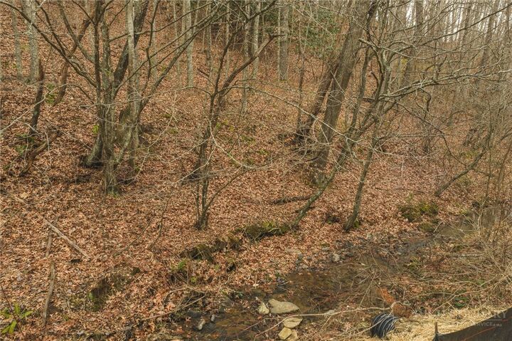 Property Photo:  0 Foster Oliver Lane  NC 28643 