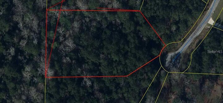 Property Photo:  0 S Pleasant Drive  FL 32435 