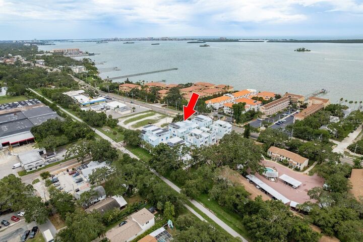 Property Photo:  1413 Bayshore Boulevard 11  FL 34698 