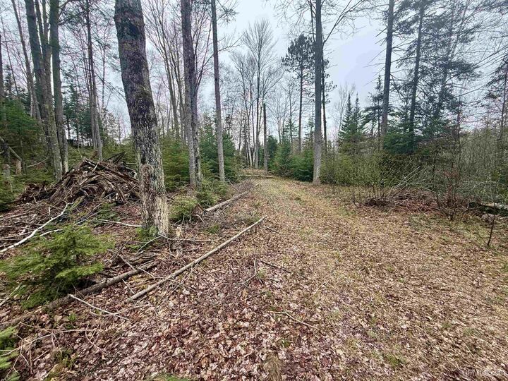 Property Photo: Tbd N Horseshoe Lake Road MI 49879