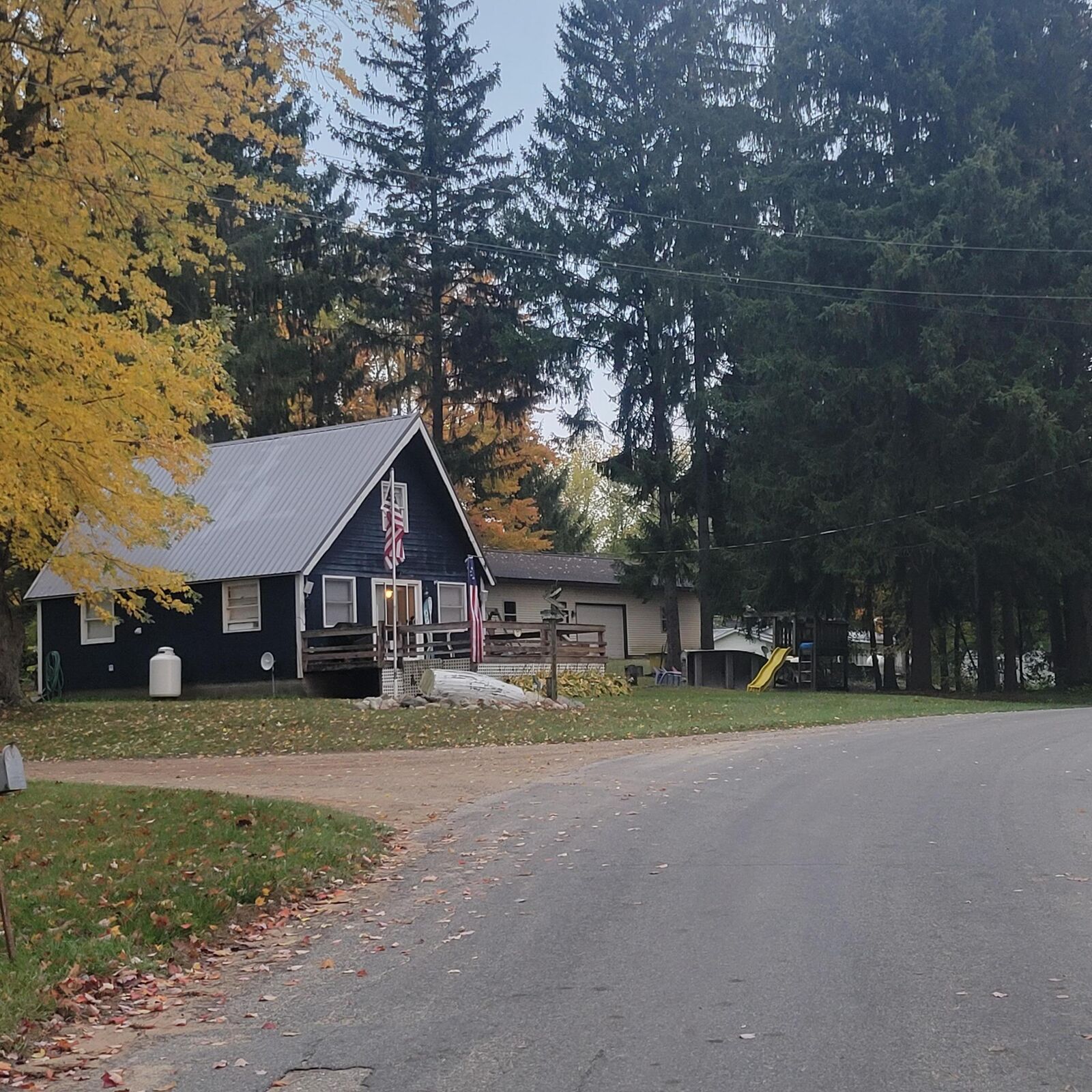 Property Photo: 575 Newaygo Drive MI 49349