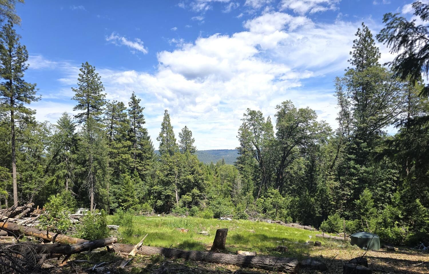 Property Photo: 14599 Tumbling Creek CA 95959