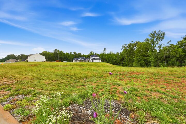 Property Photo: 705 Sandringham Ct TN 37043