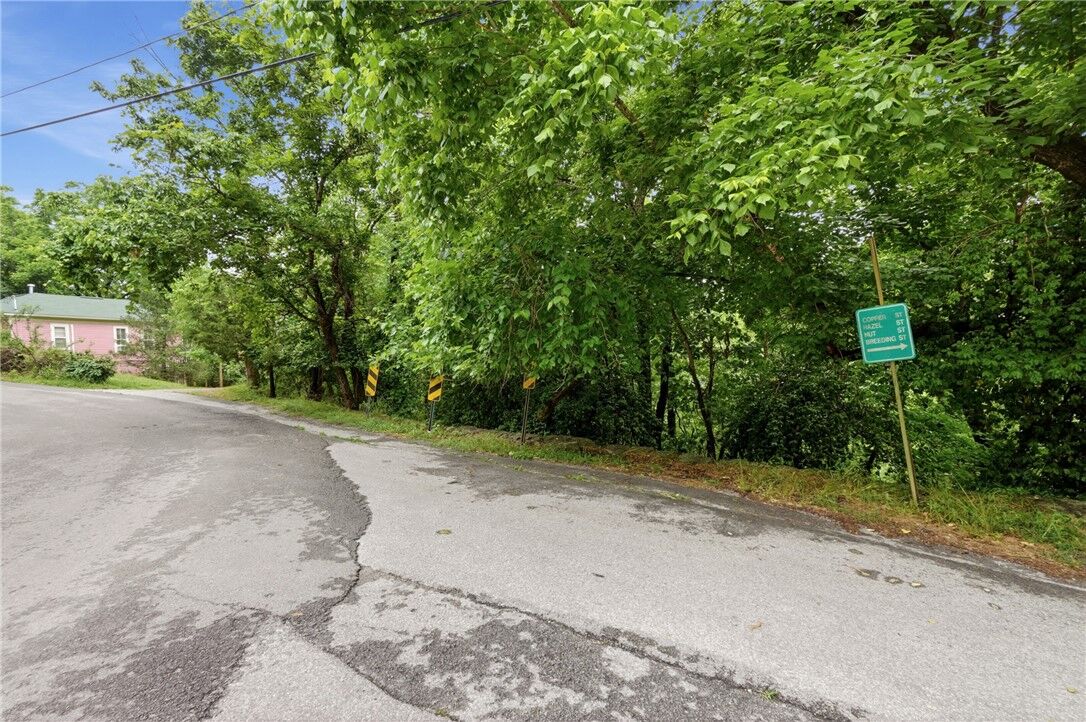 Property Photo:  Hale Street  AR 72632 