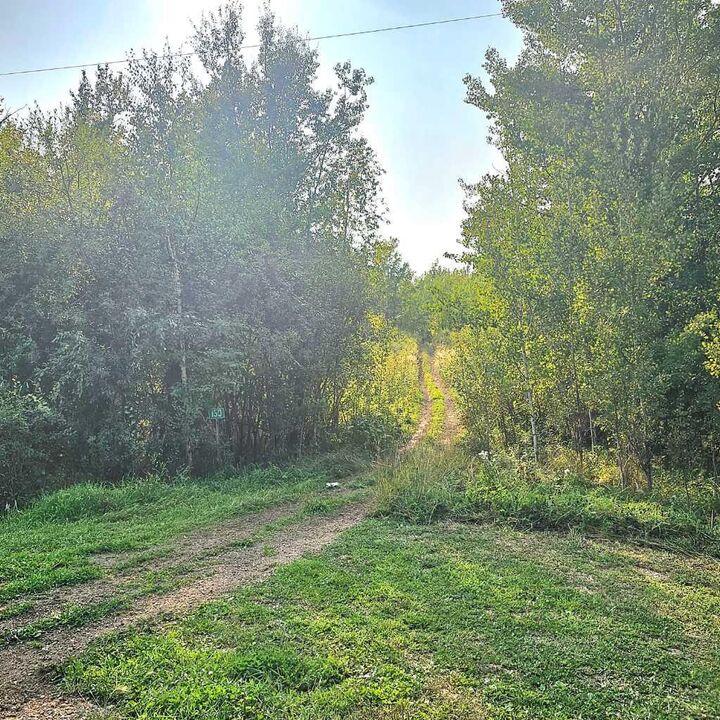 Property Photo:  67458 McGrane Road 130  AB T0A 2C0 