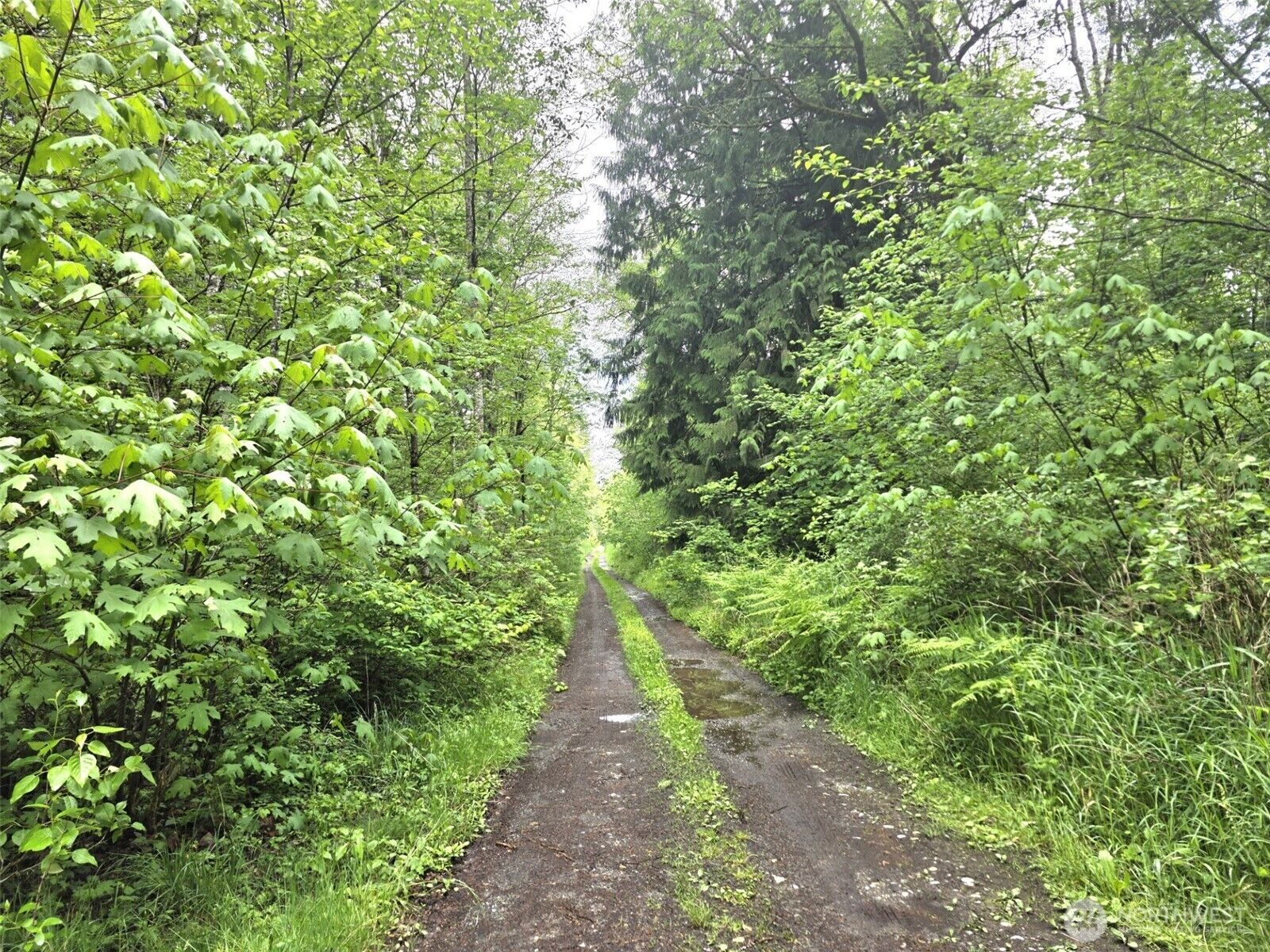 Property Photo: 36610 48th Avenue S WA 98580