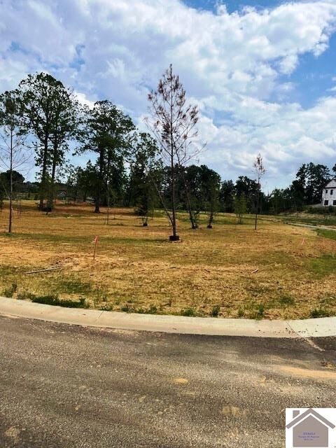 Property Photo: 245 Hidden Valley Dr KY 42003