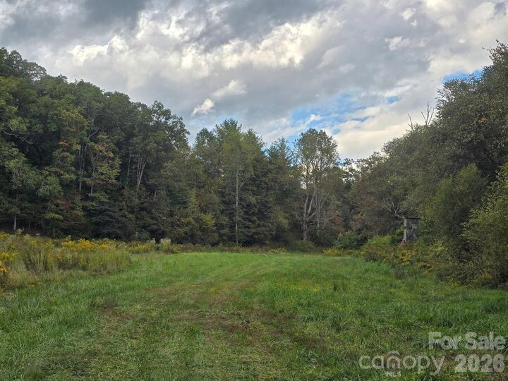 Property Photo:  000 Cook Lane 24.87 Acres  NC 28759 