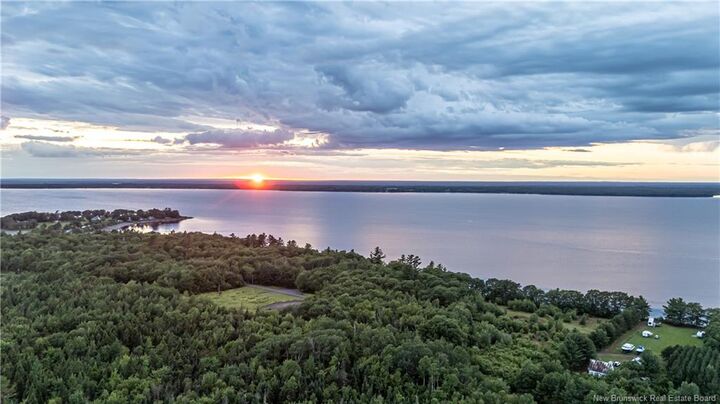 4 The Bluff — photo 1