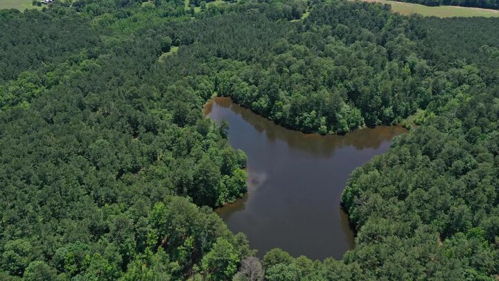 Property Photo:  295 County Road 2462  TX 75560 
