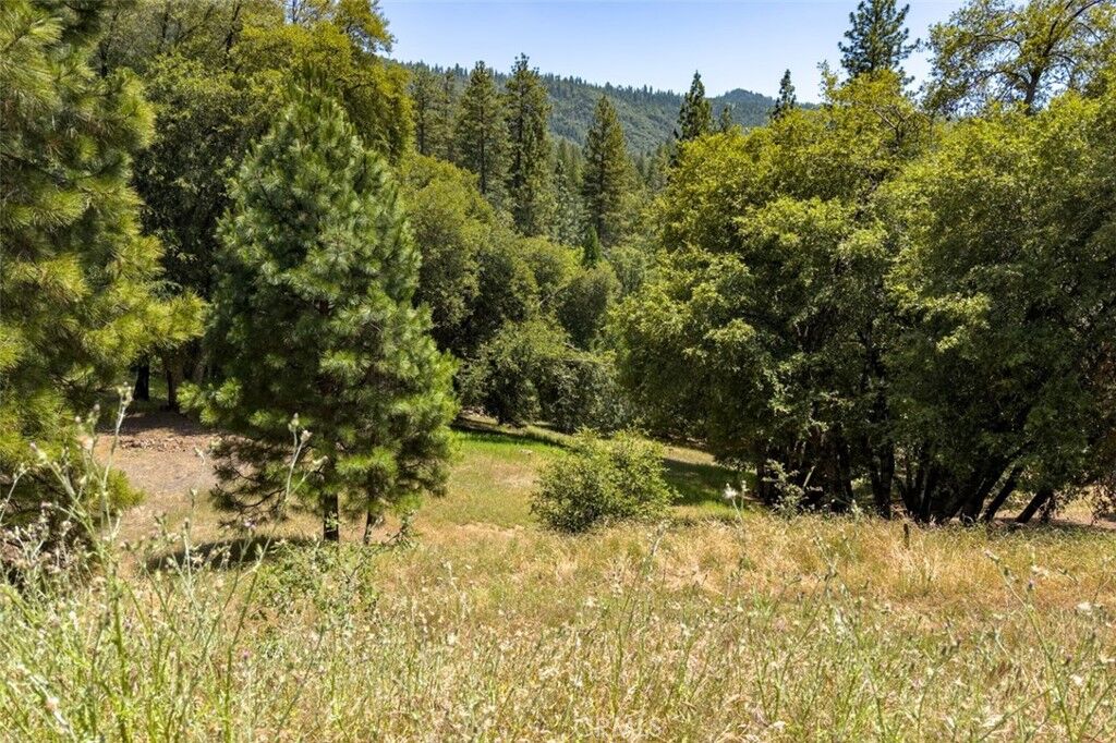 Property Photo:  2397 Parmabelle  CA 95338 