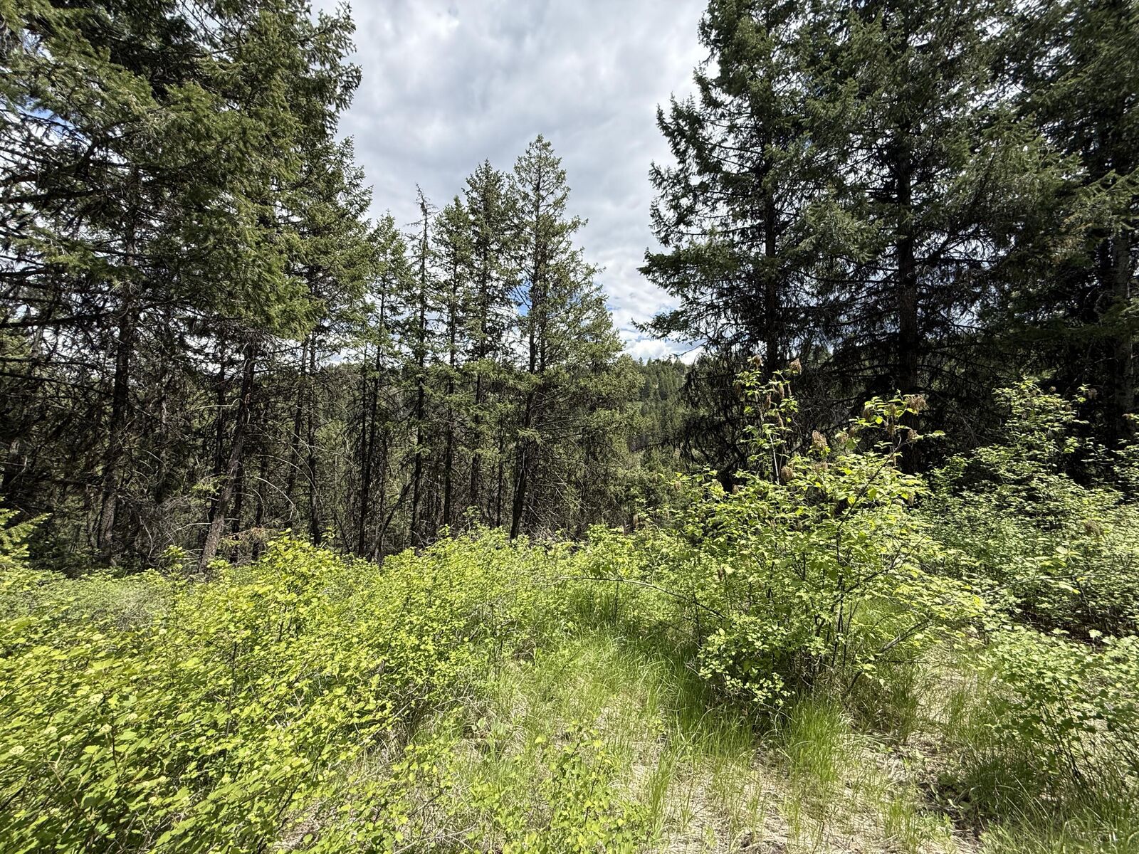 Property Photo:  Tbd Slippery Hill Rd  WA 99166 