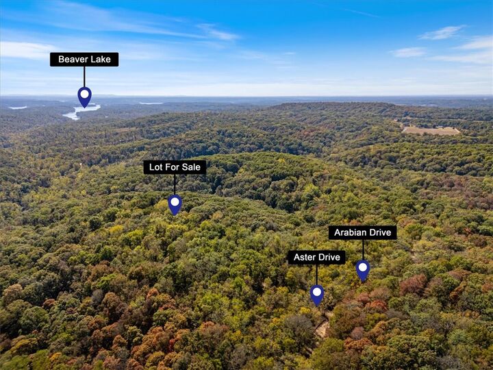 Property Photo:  Lot 262 Aster Drive  AR 72756 