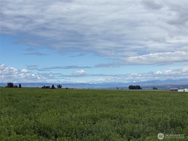 Property Photo:  11 Xx  Borland Road  WA 98926 