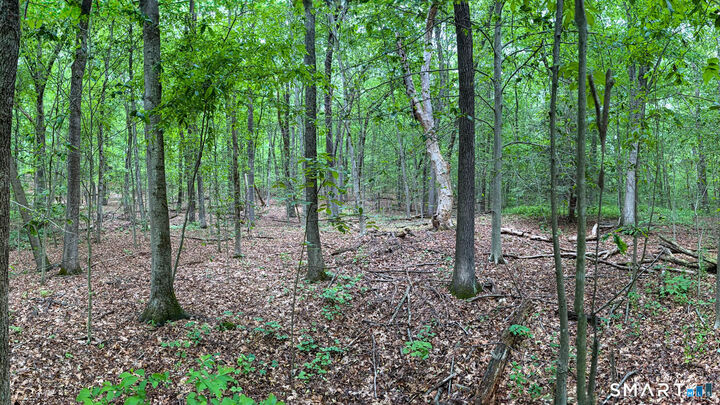 Property Photo:  211 Grindle Brook Road  CT 06073 