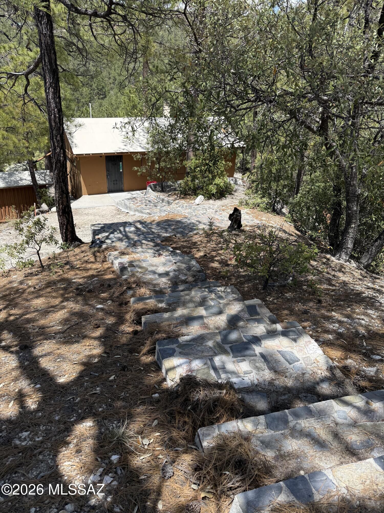 Property Photo:  9713 S Willow Canyon  AZ 85619 