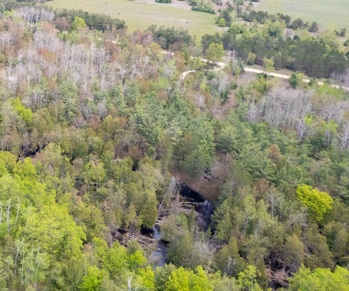 Property Photo: 10 Ac U.s. 31 Highway MI 49716