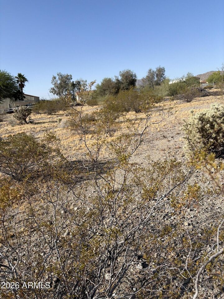 Property Photo:  67584 Prose Street 116  AZ 85348 