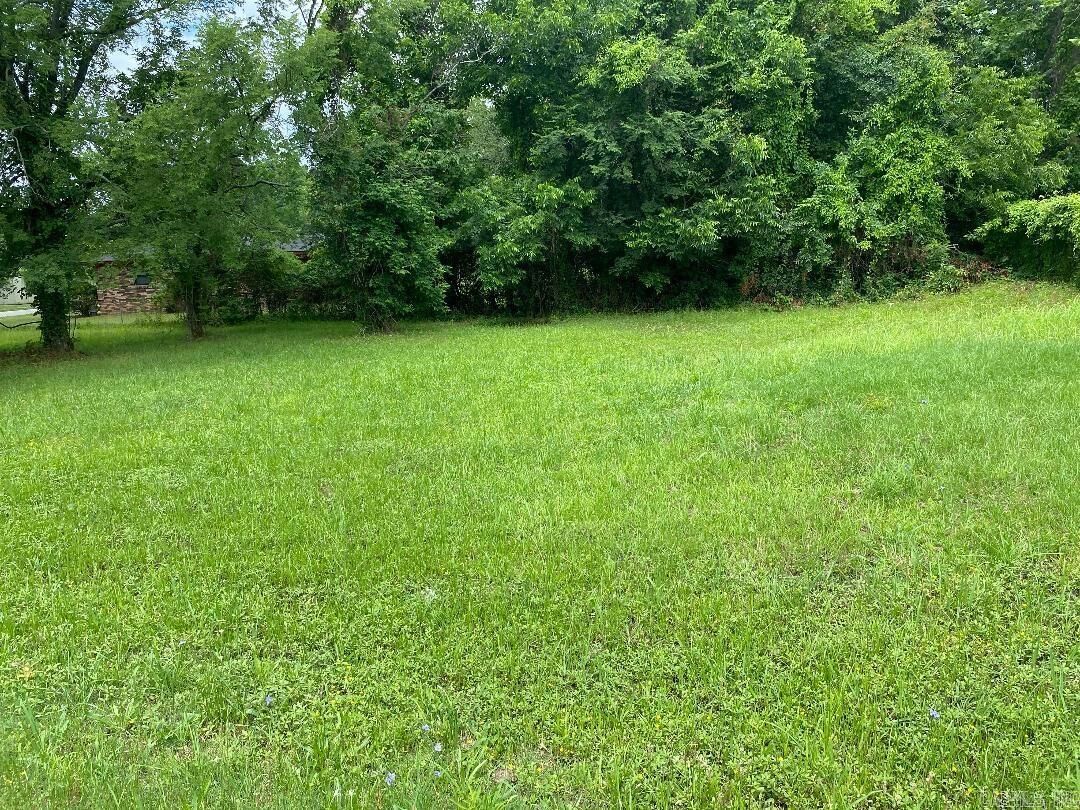Property Photo:  000 S Blake Highway  AR 71601 